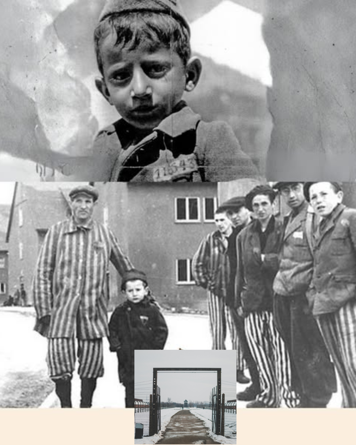 La Valise du Silence – L’histoire cachée de Joseph Schlipstein