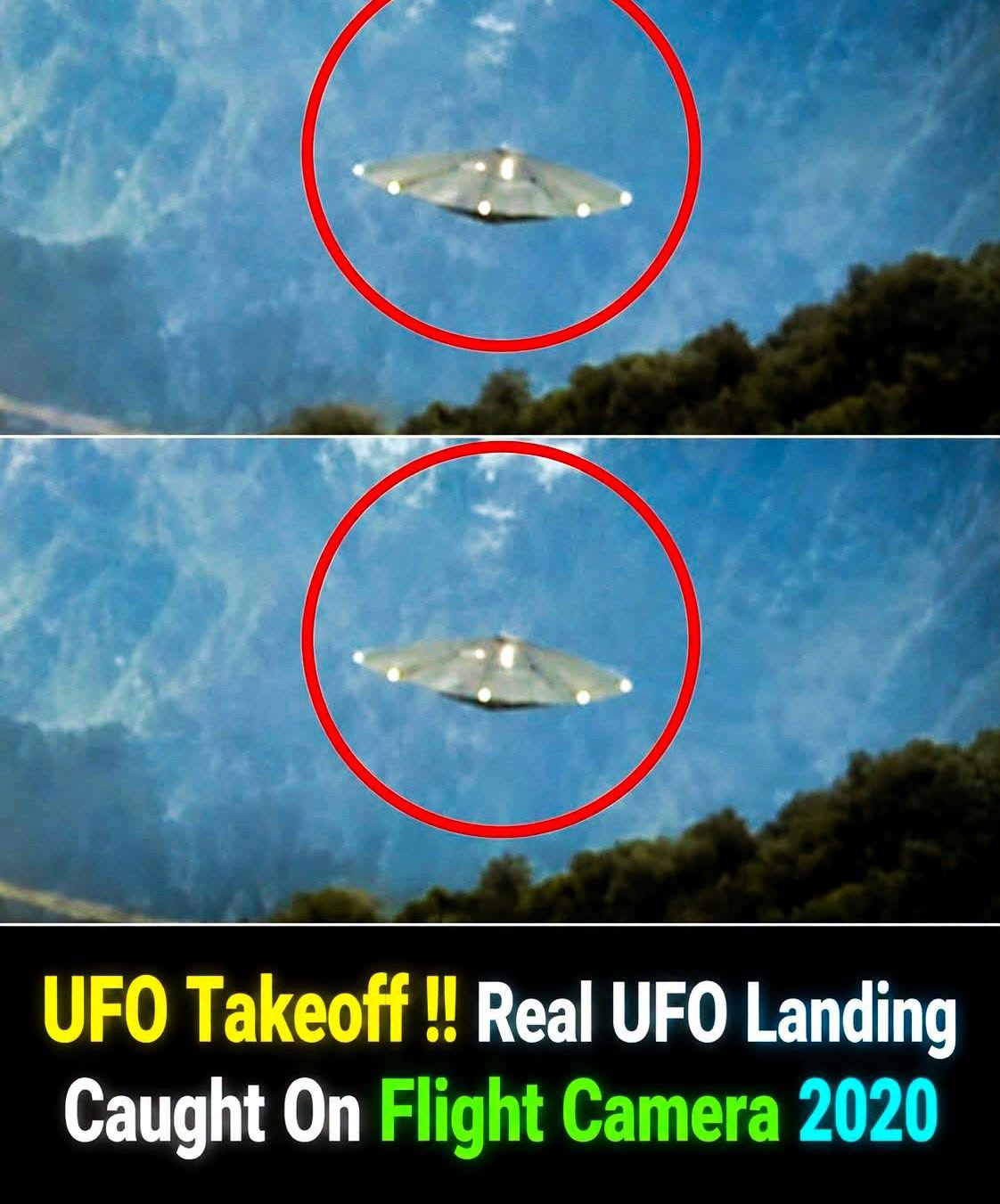 Quintumnia: The Alleged Aliens at a Secret U.S. Facility.nam